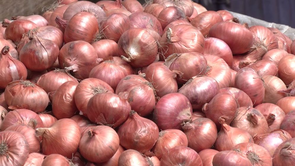 দুই দিনের ব্যবধানে ১৫ টাকা কমলো পেঁয়াজের দাম